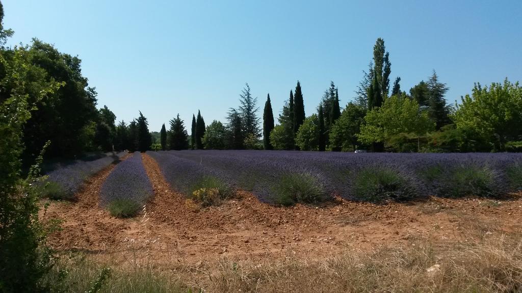 Residence Les Rossignols Roussillon en Isere Exterior foto